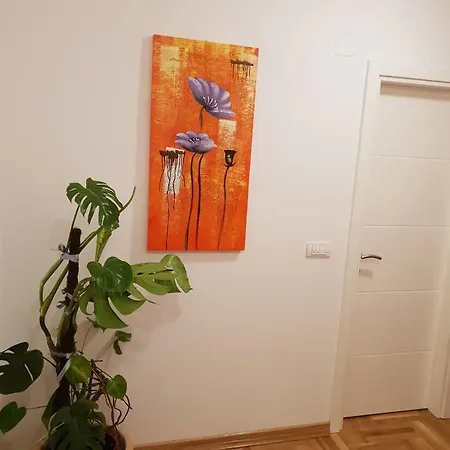 Kaca 3 Banja Luka